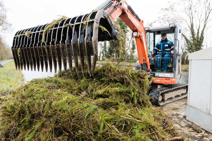 «<small class="fine d-inline"> </small>On ne sait pas l'arrêter<small class="fine d-inline"> </small>» : une plante exotique envahit les canaux français