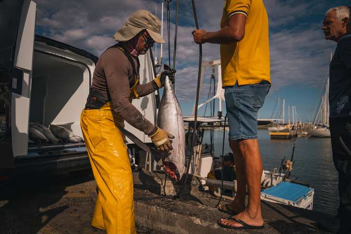 «<small class="fine d-inline"> </small>C'est démoralisant<small class="fine d-inline"> </small>» : faute d'aides adaptées, la pêche artisanale se meurt à La Réunion