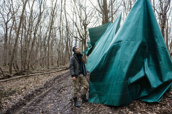 Des chasseurs déploient une bâche en plastique de 1,7 km pour «<small class="fine d-inline"> </small>piéger<small class="fine d-inline"> </small>» les cerfs