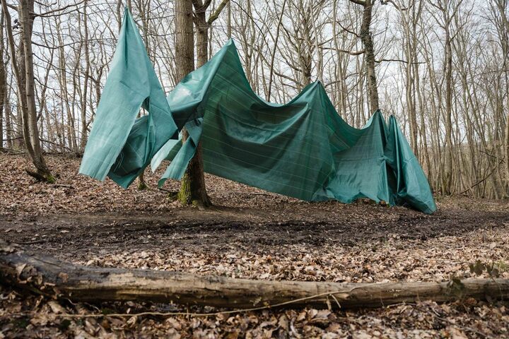«<small class="fine d-inline"> </small>On a gagné<small class="fine d-inline"> </small>!<small class="fine d-inline"> </small>» : la bâche pour chasser les cerfs a été retirée de la forêt de Dreux