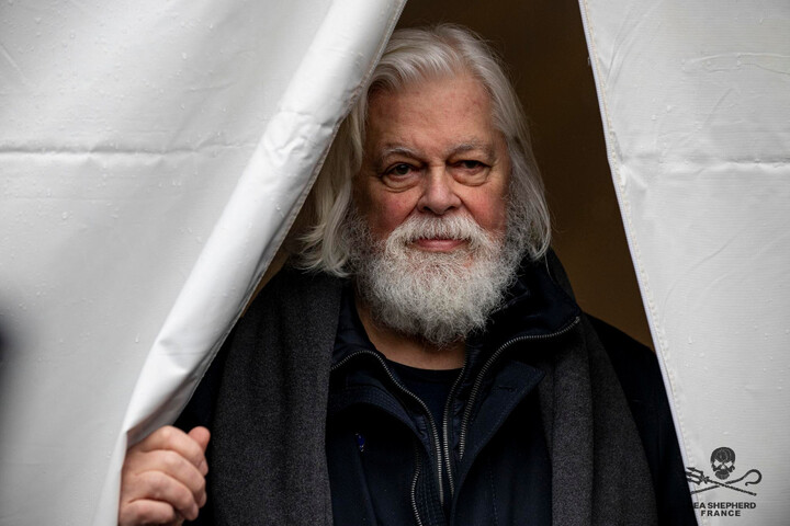 Paul Watson n'est plus recherché par Interpol