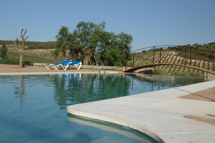 Malgré la sécheresse, les piscines d'Andalousie sont bien remplies
