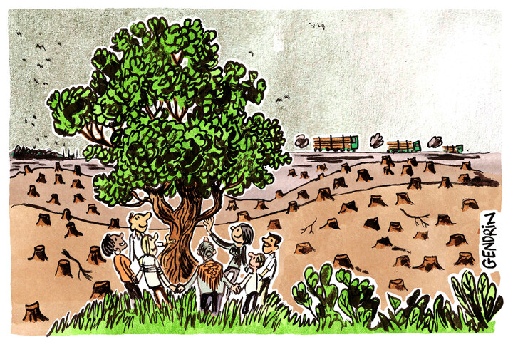 Tandis qu'on célèbre «<small class="fine d-inline"> </small>l'arbre de l'année<small class="fine d-inline"> </small>», les forêts partent à la découpe