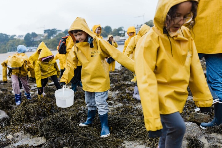 «<small class="fine d-inline"> </small>Ces enfants n'ont parfois jamais touché de crabe<small class="fine d-inline"> </small>» : un historique centre de classe de mer pourrait fermer
