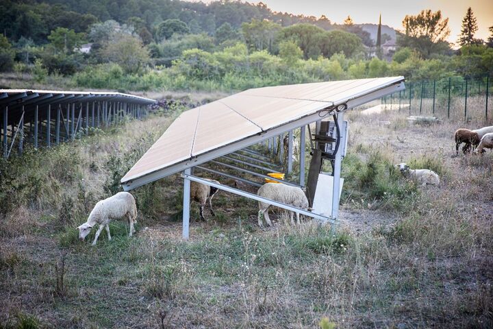 La garrigue ardéchoise dévorée par le photovoltaïque