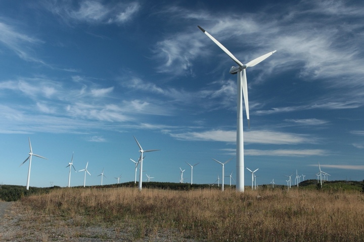 Aigle et faucons tués par des éoliennes : <span class="caps">EDF</span> et Valeco condamnés 
