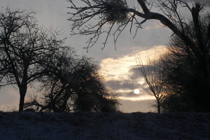 La France a encore connu un hiver «<small class="fine d-inline"> </small>anormalement<small class="fine d-inline"> </small>» chaud, dit Météo-France