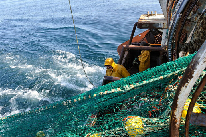 Pêche : la Bretagne tente de contourner la règlementation européenne