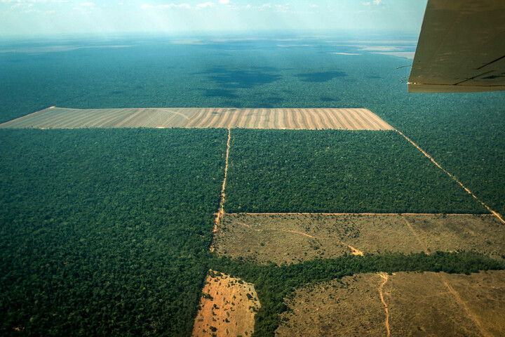 Le Brésil suspend un accord historique contre la déforestation