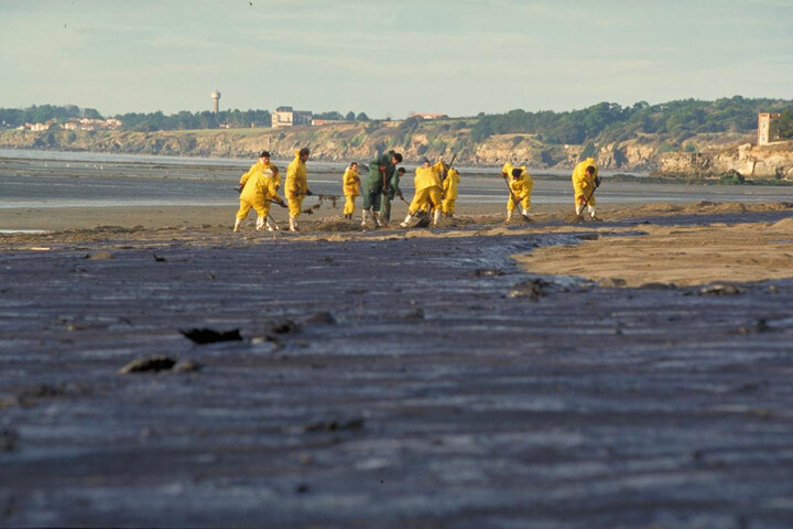 Seules 0,5<small class="fine d-inline"> </small>% des marées noires ont été déclarées aux autorités en 5 ans
