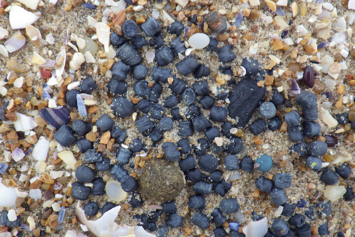 Microbilles de plastique : la pollution traverse la Manche