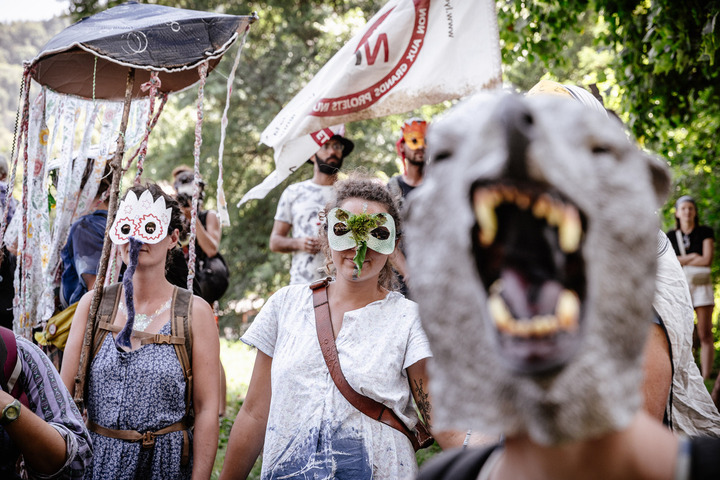 «<small class="fine d-inline"> </small>Le carnaval est une fête qui a enrichi les luttes écologistes<small class="fine d-inline"> </small>»