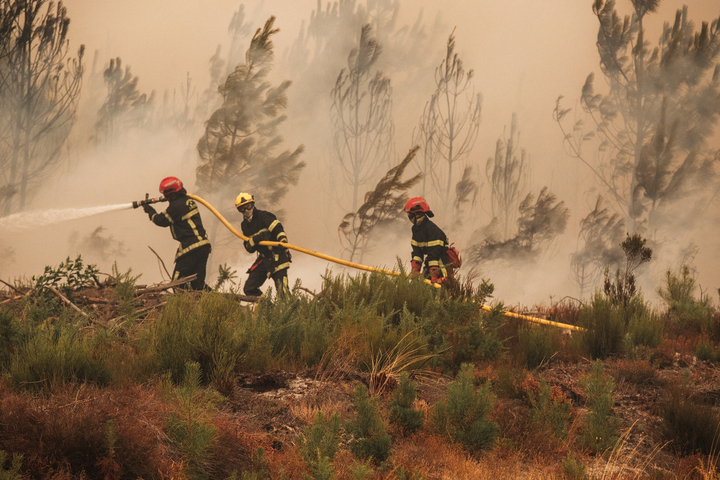<span class="caps">EN</span> <span class="caps">DIRECT</span> Incendie en Gironde : le feu est «<small class="fine d-inline"> </small>stabilisé, mais pas fixé<small class="fine d-inline"> </small>»