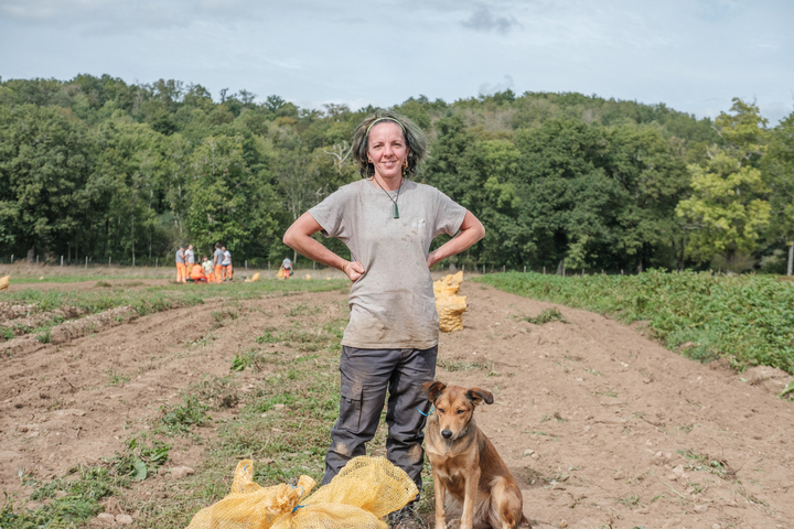 «<small class="fine d-inline"> </small>C'est un choix politique<small class="fine d-inline"> </small>» : un potager municipal fournit la cantine en légumes bio