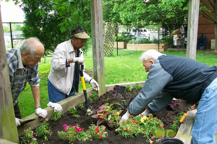 Comment faire un potager quand tous les sols sont pollués<small class="fine d-inline"> </small>?