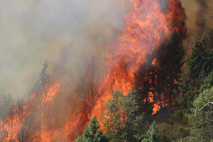 Les incendies dégradent la qualité de l'air à des milliers de kilomètres