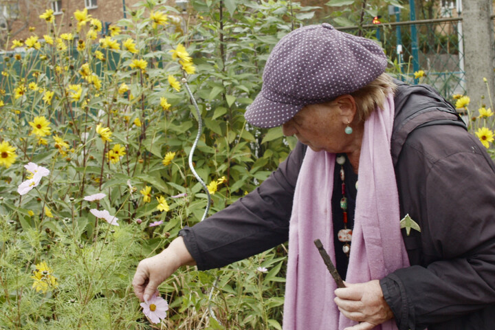 «<small class="fine d-inline"> </small>Détruire des jardins ouvriers est une erreur qu'on regrettera demain<small class="fine d-inline"> </small>»
