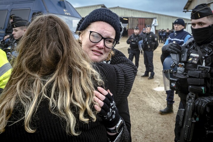 Dermatose bovine : des gendarmes répriment violemment des éleveurs opposés à l'abattage d'un troupeau
