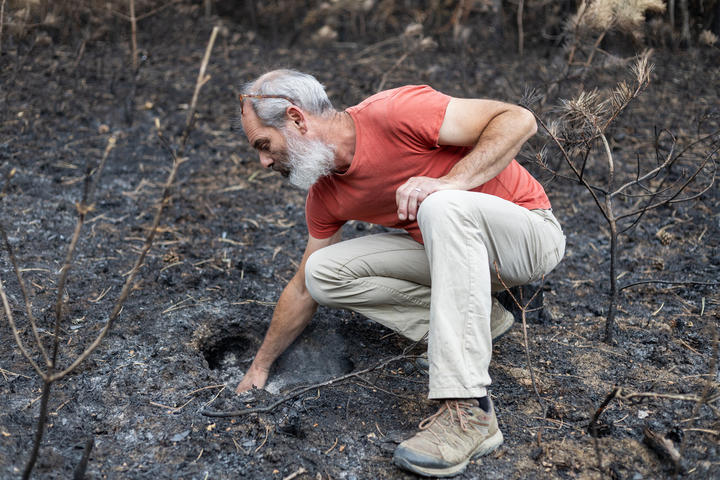La forêt et ses animaux «<small class="fine d-inline"> </small>sacrifiés<small class="fine d-inline"> </small>» : après l'incendie, la Drôme pleure son patrimoine naturel
