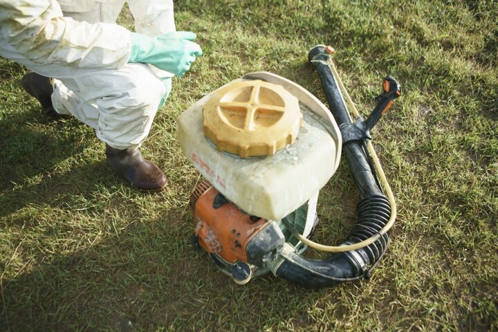 Les pesticides néfastes pour les insectes même à très faible dose