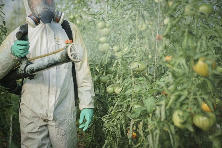 Le coût des pesticides sur le système de santé inquiète des mutuelles