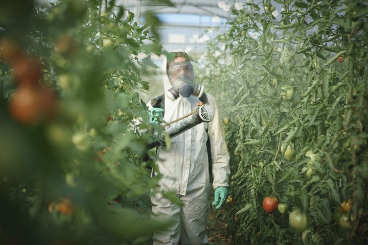 Réintroduction des pesticides interdits : est-ce vraiment «<small class="fine d-inline"> </small>la science<small class="fine d-inline"> </small>» qui décidera<small class="fine d-inline"> </small>?