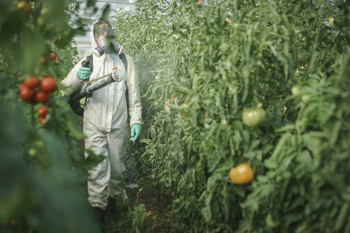 Fraises, mandarines, endives... Fruits et légumes sont massivement contaminés aux pesticides