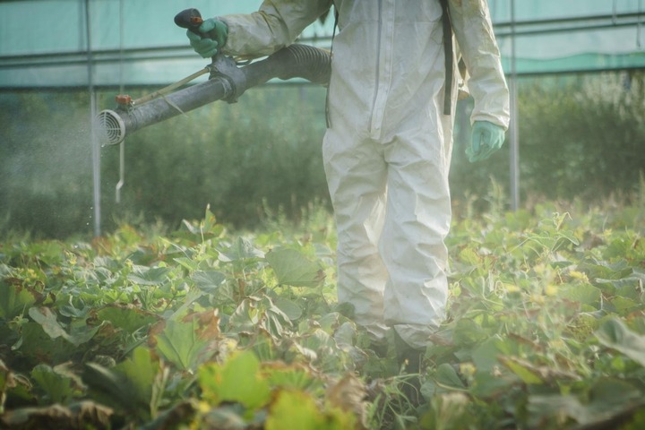 De nombreux pesticides retrouvés dans la poussière et l'air des logements