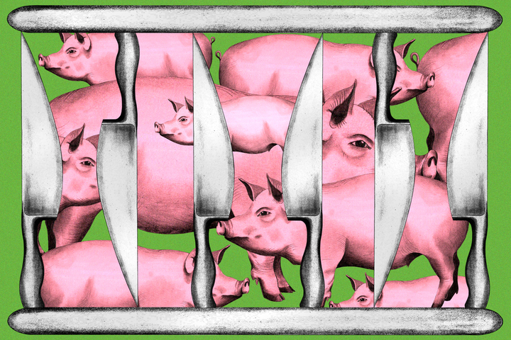 Élevage industriel : «<small class="fine d-inline"> </small>On a réduit les animaux à de la matière brute<small class="fine d-inline"> </small>»