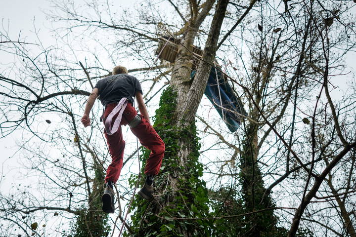 Dans les arbres, les «<small class="fine d-inline"> </small>écureuils<small class="fine d-inline"> </small>» résistent à la <span class="caps">LGV</span> Toulouse-Bordeaux