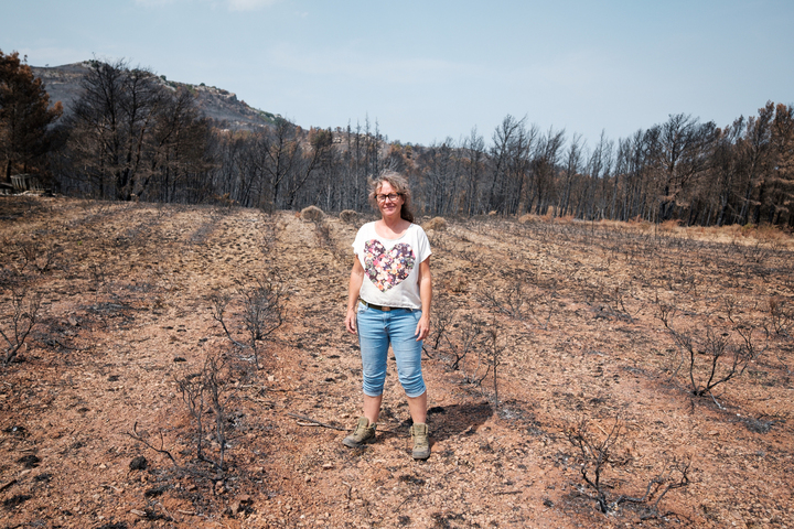 Après les flammes, la solidarité paysanne s'organise dans l'Aude