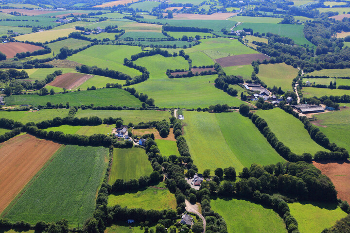 Pourquoi les agriculteurs n'aiment pas trop les haies