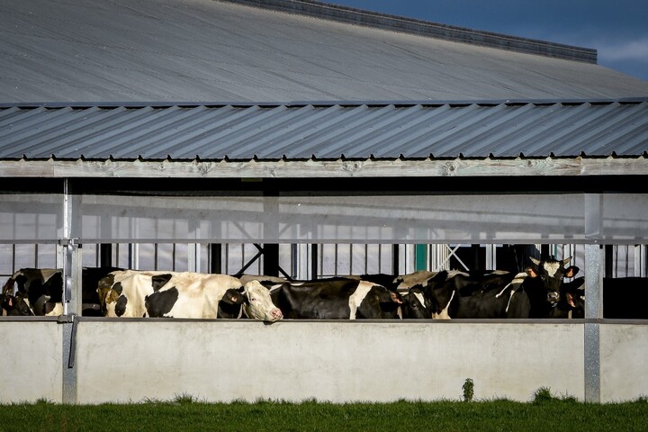 «<small class="fine d-inline"> </small>Comment peut-on nier l'existence de l'élevage industriel en France<small class="fine d-inline"> </small>?<small class="fine d-inline"> </small>»