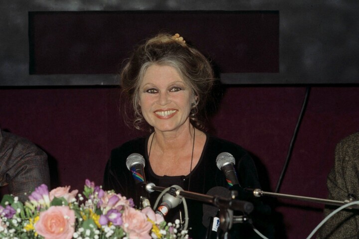 Proximité avec l'extrême droite, structure opaque... «<small class="fine d-inline"> </small>Libé<small class="fine d-inline"> </small>» révèle les turpitudes de la Fondation Brigitte Bardot