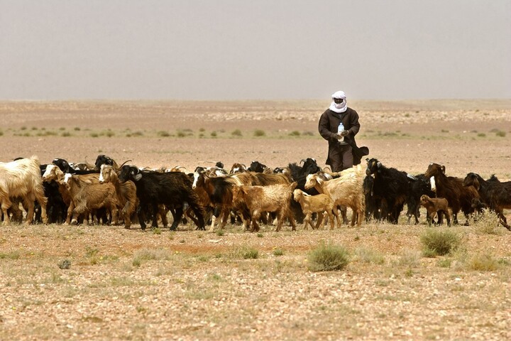 Face au chaos climatique, les Touareg renoncent à leur nomadisme millénaire
