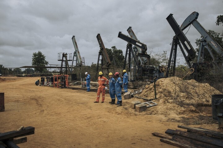 Mobilisation contre le pétrolier Perenco qui «<small class="fine d-inline"> </small>ravage l'environnement<small class="fine d-inline"> </small>» en <span class="caps">RDC</span>