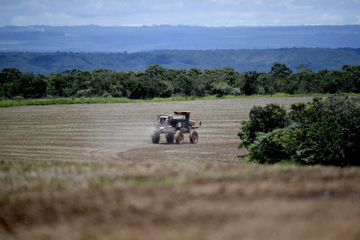 L'exposition du vivant à la toxicité des pesticides augmente dans le monde