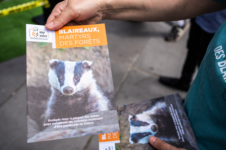Pourquoi le Parti animaliste a-t-il accepté d'intégrer des listes de droite<small class="fine d-inline"> </small>?