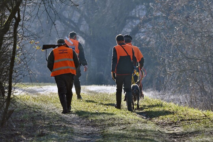 «<small class="fine d-inline"> </small>Le loup, ou la nécessité d'une écologie fondée sur la délibération<small class="fine d-inline"> </small>»