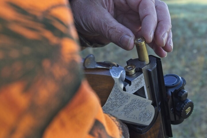 Un sanglier tué... dans le jardin d'une victime de la chasse