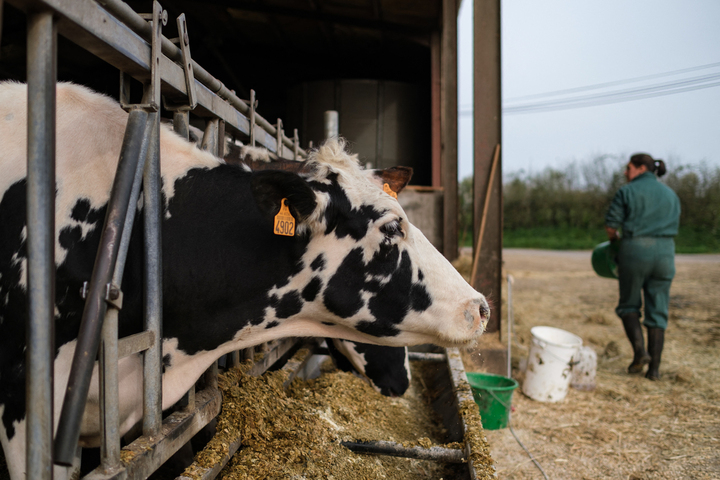 «<small class="fine d-inline"> </small>Sans les femmes, pas d'avenir pour l'agriculture<small class="fine d-inline"> </small>»