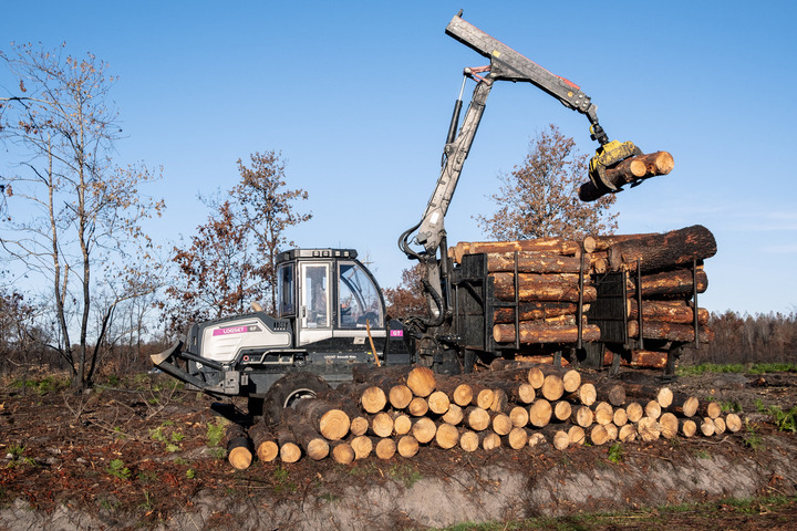 Coupes rases : la forêt des Landes en haut du podium