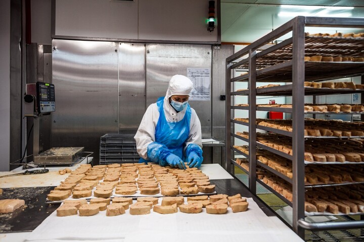 Foie gras : «<small class="fine d-inline"> </small>Un élevage intensif dopé à l'argent public<small class="fine d-inline"> </small>»