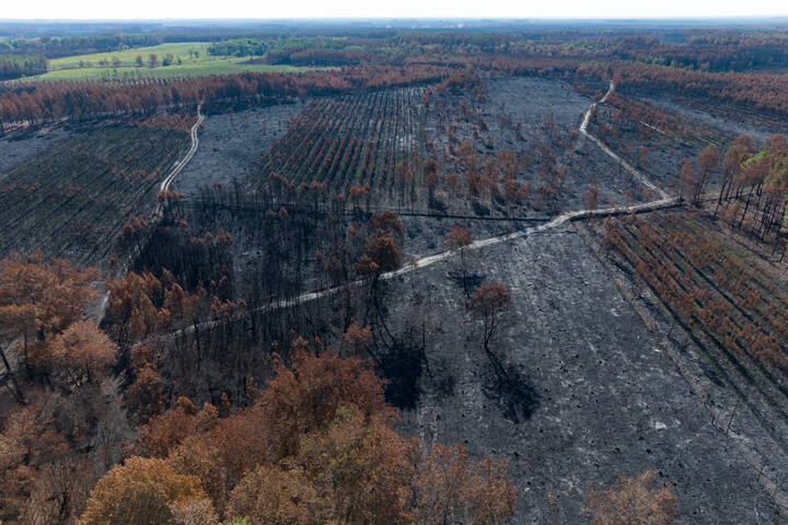 Feux zombies en Gironde : «<small class="fine d-inline"> </small>Ces incendies souterrains vont se multiplier<small class="fine d-inline"> </small>»