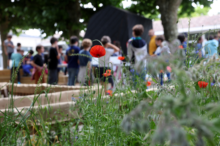 Cours d'école végétalisées : le maire de Bordeaux abandonne en pleine canicule