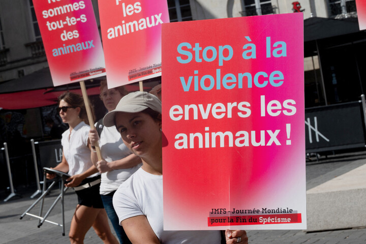Les défenseurs des animaux se dressent contre l'extrême droite