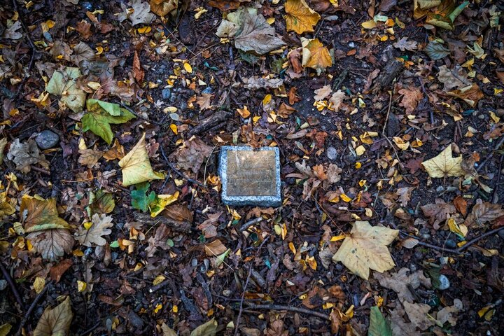 Cendres funéraires : ils préfèrent la forêt au cimetière