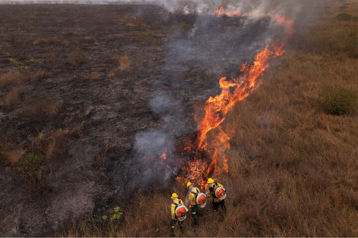 L'Amazonie subit une saison record de feux de forêt