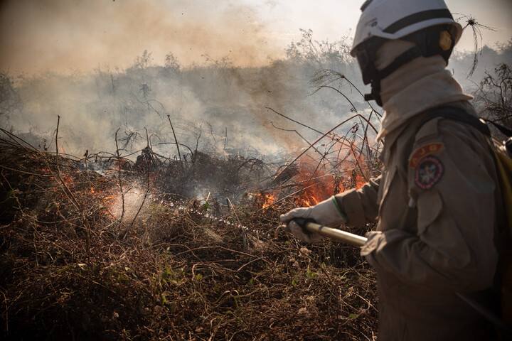 Stopper les incendies... par le feu : le Brésil s'inspire des savoirs indigènes