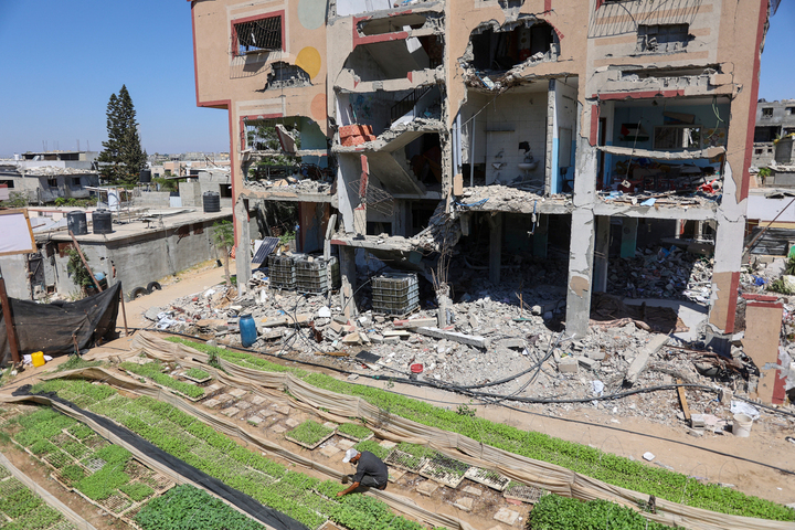 À Gaza, des agriculteurs résistent encore sous les bombes